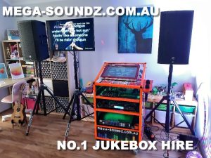 Karaoke Machine Hire Lake Coogee