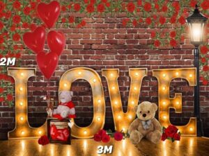 Engagement party valentines day backdrop Engagement party valentines day backdrop