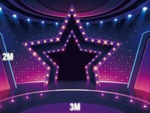 Be the singing star Be the singing star