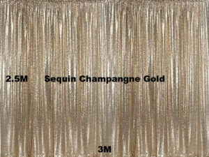 sequin champangne gold sequin champangne gold